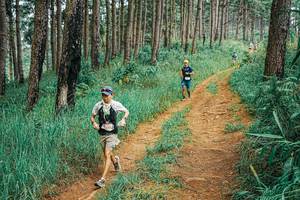 BIB: 
                            <button type="button" onclick="openModal(25654256)" class="btn btn-primary btn-sm float-right btn-popup" data-toggle="modal" data-target=".modal-high-quality">
                        <i class="fas fa-shopping-cart"></i> Add to Cart
                    </button>
                                            <button type="button" onclick="isThisMe(25654256, true)" class="btn btn-success btn-sm float-right btn-popup btn-isme hidden" data-toggle="tooltip" data-placement="bottom" title="นี่คือรูปของคุณใช่ไหม คลิกที่นี่เพื่อเอาเข้าอัลบั้ม">
                        <i class="fas fa-plus"></i> Add to album
                    </button>
                    <button type="button" onclick="isThisMe(25654256, false)" class="btn btn-warning btn-sm float-right btn-popup btn-isnotme hidden">
                        <i class="fas fa-ban"></i> Remove from album
                    </button>